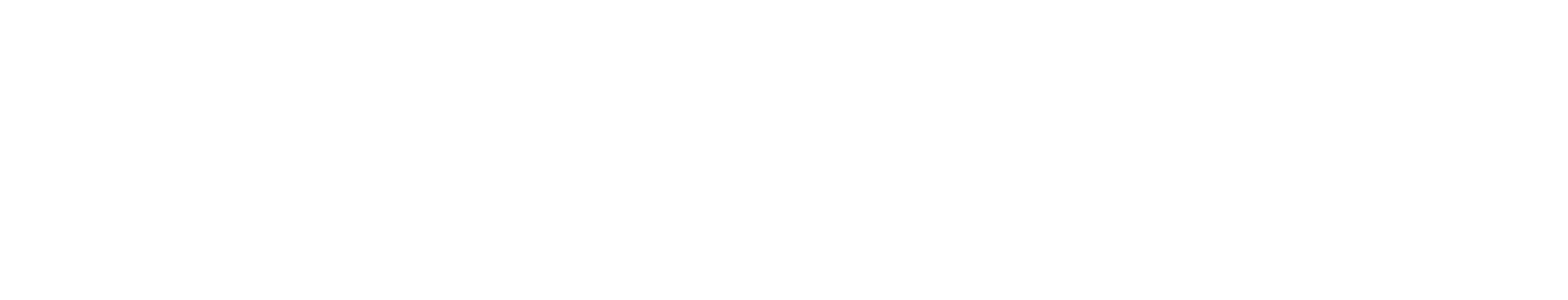 STEIGERN Design In Motion